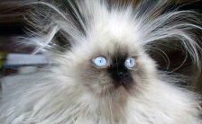 AVERTISMENT: Cumperi ieftin, primeÈ™ti aer