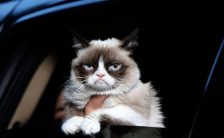 De ce nu am clienti?